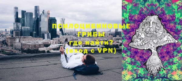 шишки Волосово