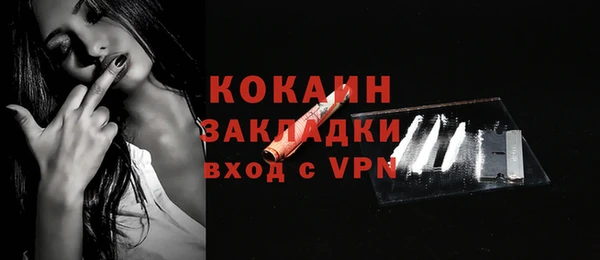 шишки Волосово