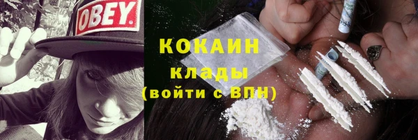 шишки Волосово