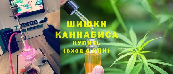 шишки Волосово