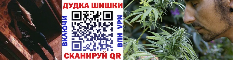 Каннабис планчик Кедровый